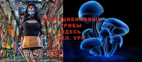прущий лед Балахна