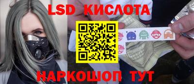 индика Пенза