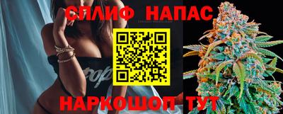 индика Пенза