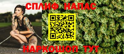 индика Пенза