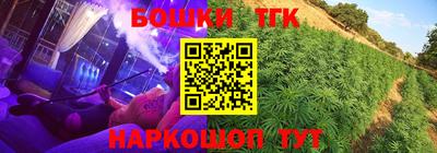 индика Пенза