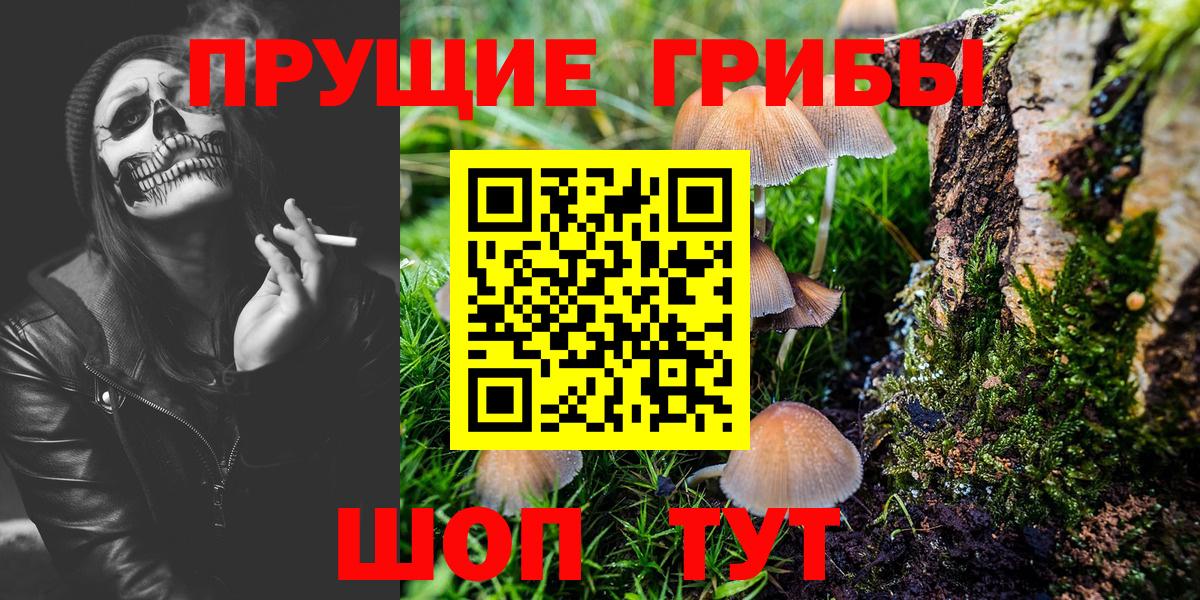 Галлюциногенные грибы Magic Shrooms Балтийск