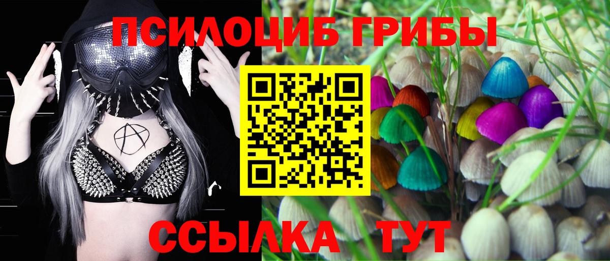 Балтийск  Псилоцибиновые грибы Magic Shrooms  Галлюциногенные грибы Magic Shrooms  Вход с VPN 